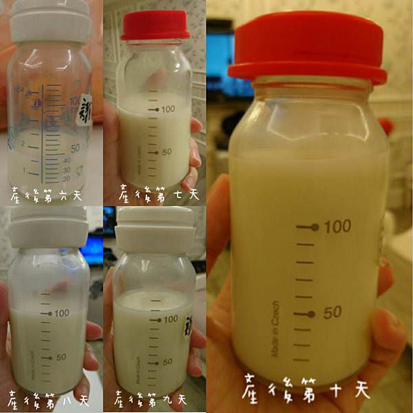 母乳哺餵|乳牛人生之泌乳師好重要