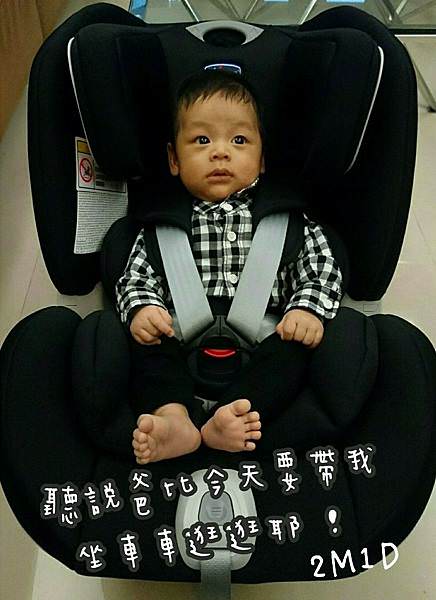|出遊必備|chicco seat up 012 isofix安全汽座