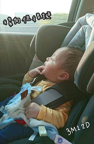 |出遊必備|chicco seat up 012 isofix安全汽座