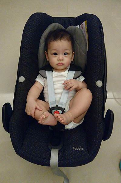 |出遊必備|chicco seat up 012 isofix安全汽座