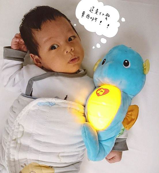 ｜人手一隻，絕對必備｜費雪 Fisher Price 聲光安撫小海馬