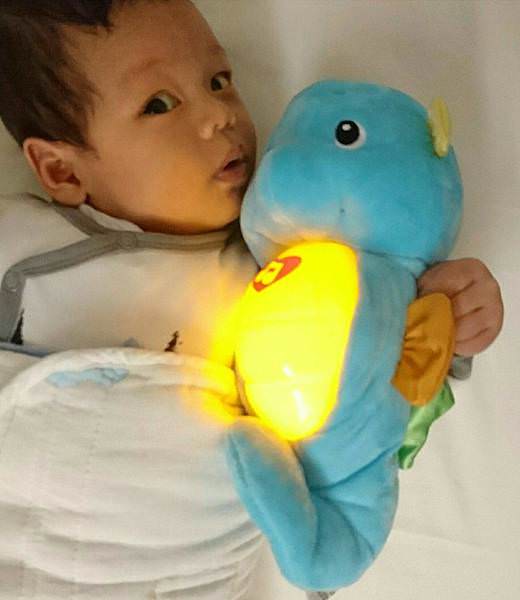 ｜人手一隻，絕對必備｜費雪 Fisher Price 聲光安撫小海馬