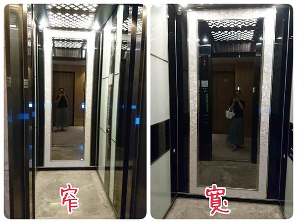 ｜小飛遊台灣｜台中璞樹文旅Treeart Hotel
