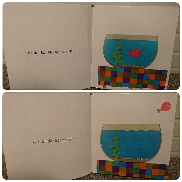 訓練孩子觀察力｜小金魚逃走了