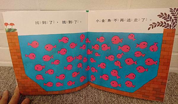 訓練孩子觀察力｜小金魚逃走了