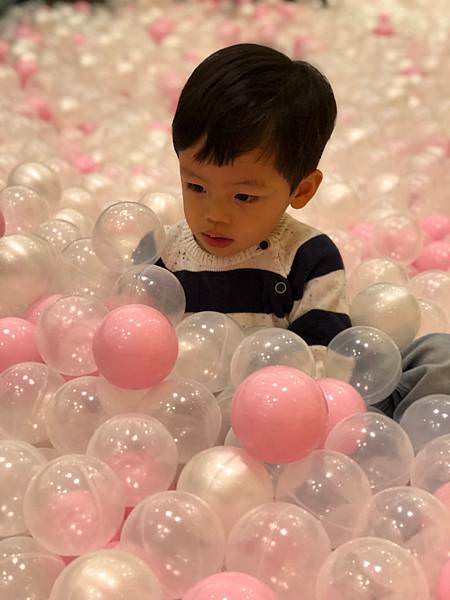 期間限定｜KID’S建築樂園-悠遊島-動物狂歡季