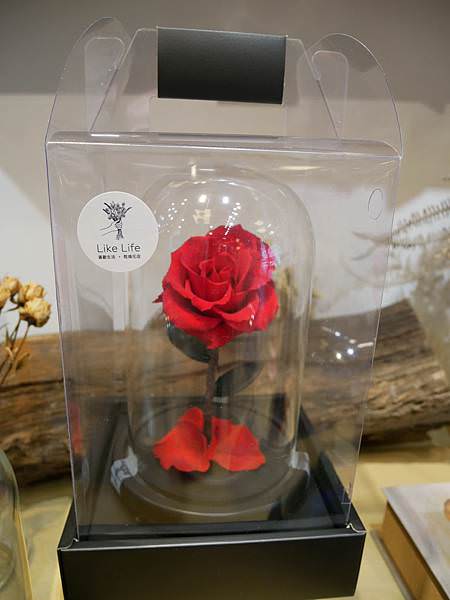 台北永生花、乾燥花專賣店推薦｜喜歡生活乾燥花店
