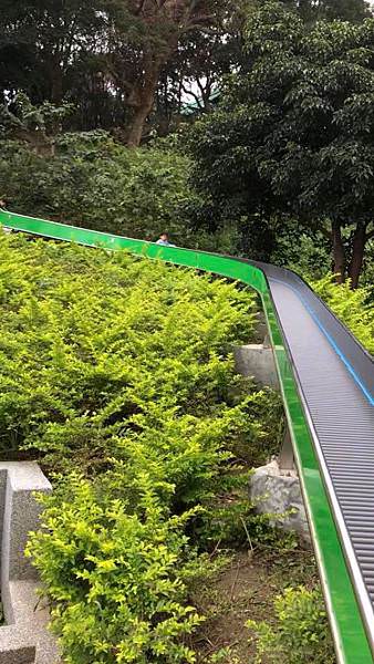新北特色公園｜錦和運動公園