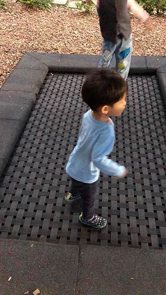 新北特色公園｜錦和運動公園