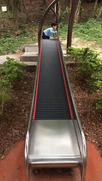 新北特色公園｜錦和運動公園