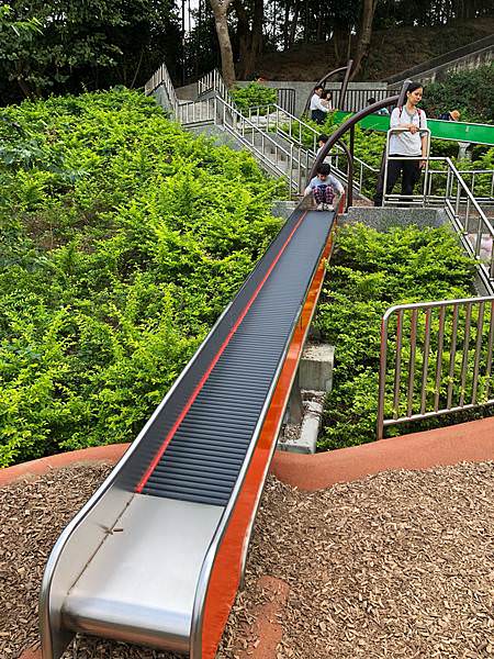 新北特色公園｜錦和運動公園