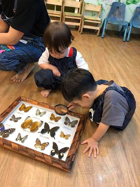 不受限的瘋狂塗鴉繪畫空間｜大金剛塗鴉遊戲動物樂園