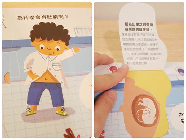 2019年好書推薦｜禾流文創必備音樂有聲書、立體操作書、認知操作書