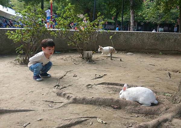 ISM主義甜時 