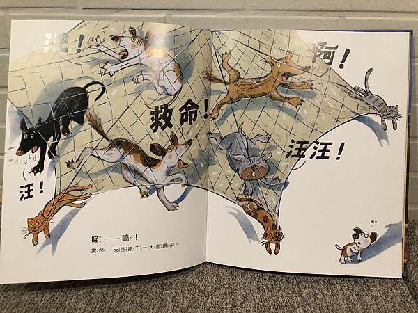 相片 2020-5-22 上午12 28 23.jpg 相片 2020-5-22 上午12 28 23.jpg