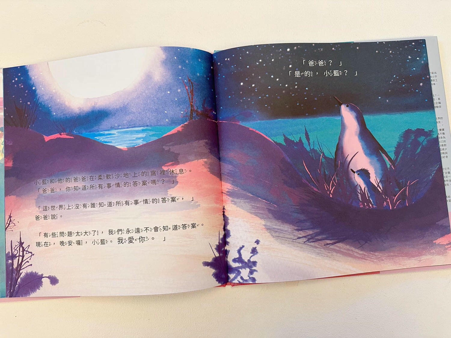 父親節繪本推薦|神仙企鵝爸爸 - 第3張圖 父親節繪本推薦|神仙企鵝爸爸
