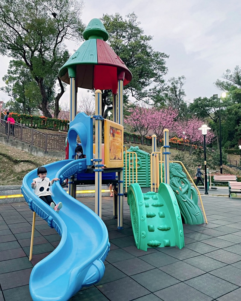 新北賞花特色公園｜鶯歌永吉公園