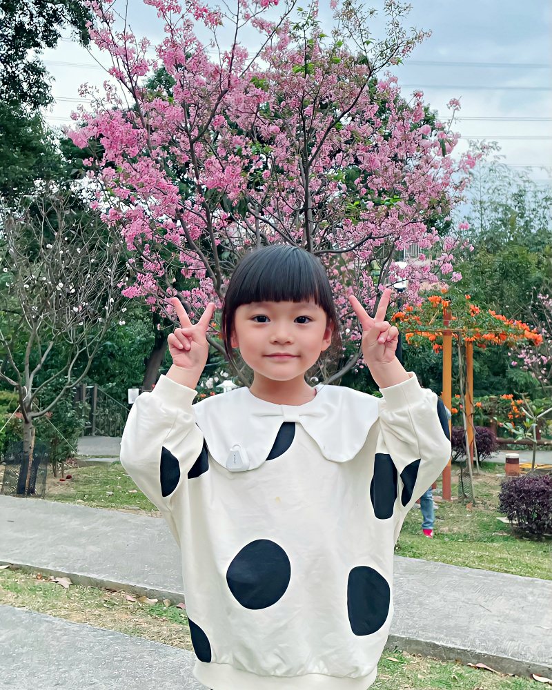 新北賞花特色公園｜鶯歌永吉公園