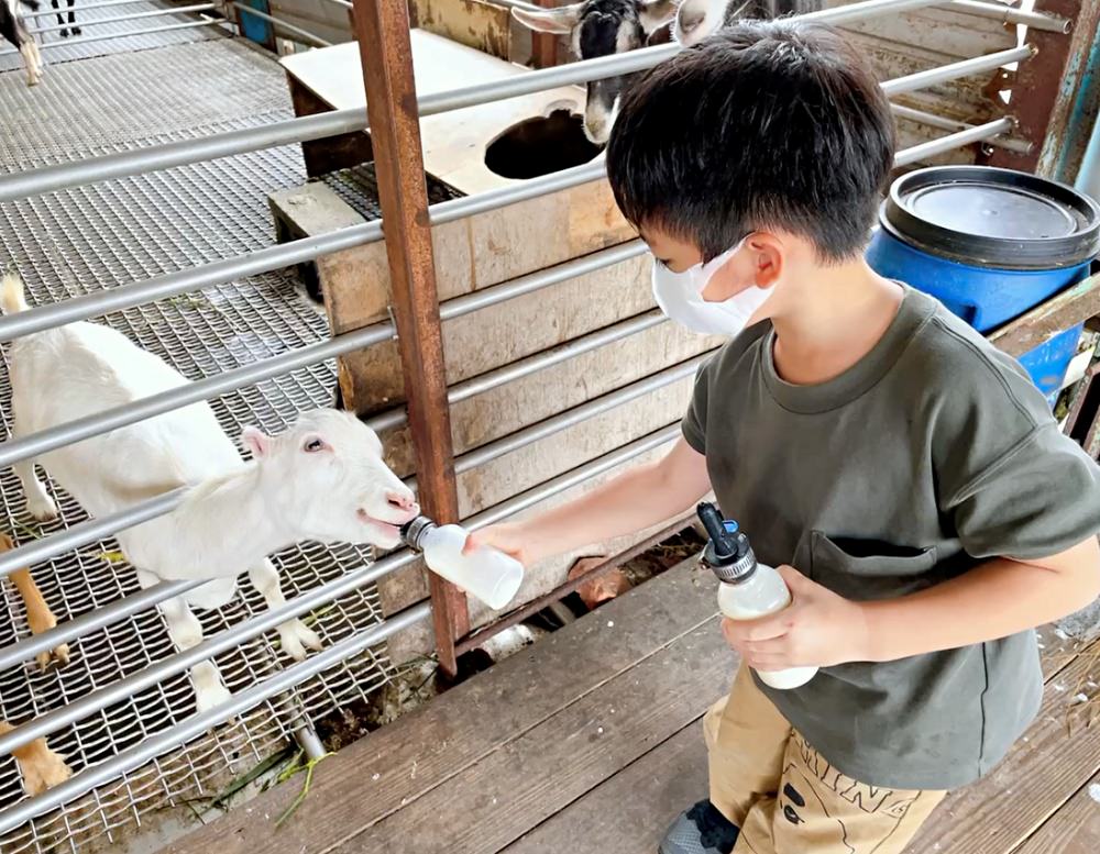 宜蘭冬山親子景點｜宜農牧場