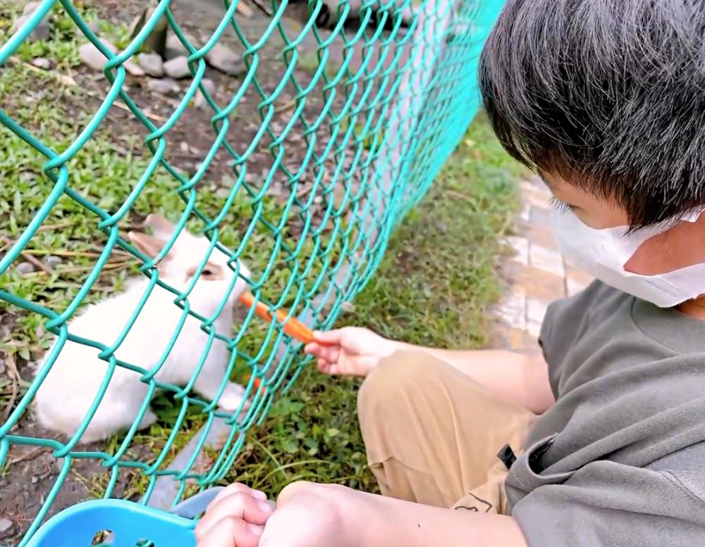宜蘭冬山親子景點｜宜農牧場