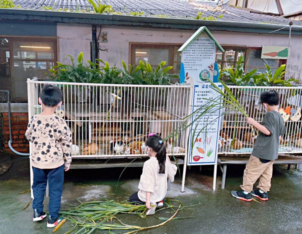 宜蘭冬山親子景點｜宜農牧場