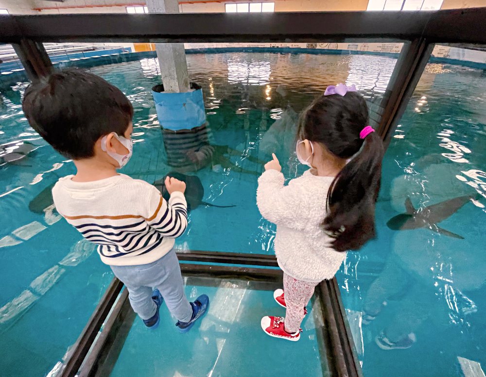 宜蘭礁溪景點|金車生技水產養殖研發中心 - 第12張圖 宜蘭礁溪景點|金車生技水產養殖研發中心