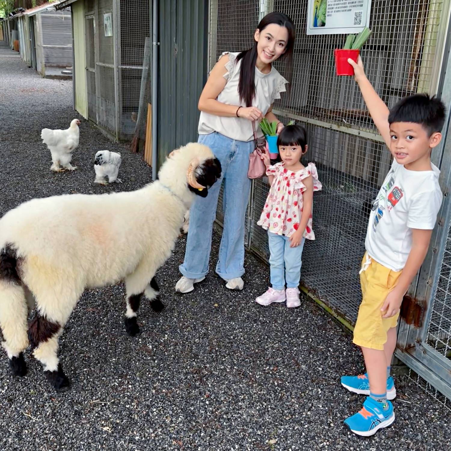 宜蘭2023最新景點|水岸森林休閒農場 森林物語 - 第6張圖 宜蘭2023最新景點|水岸森林休閒農場 森林物語