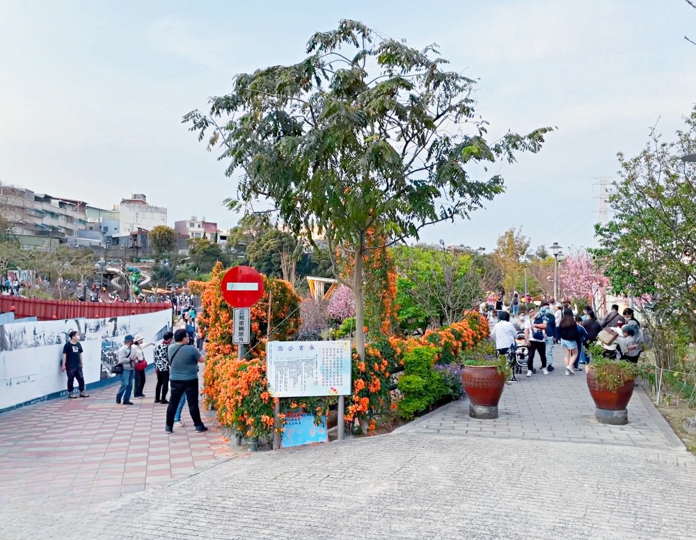 新北賞花特色公園｜鶯歌永吉公園