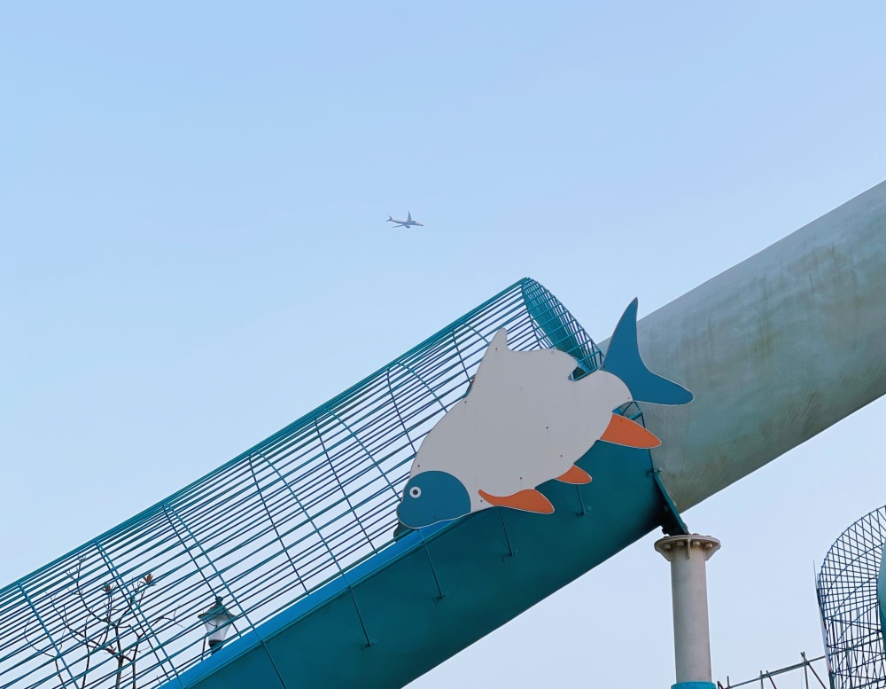 桃園特色公園｜水之丘主題公園 草魚遊戲場