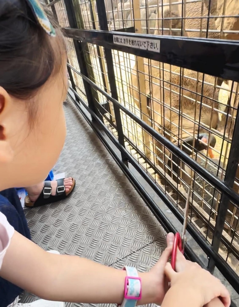 九州親子景點｜ 九州野生動物園