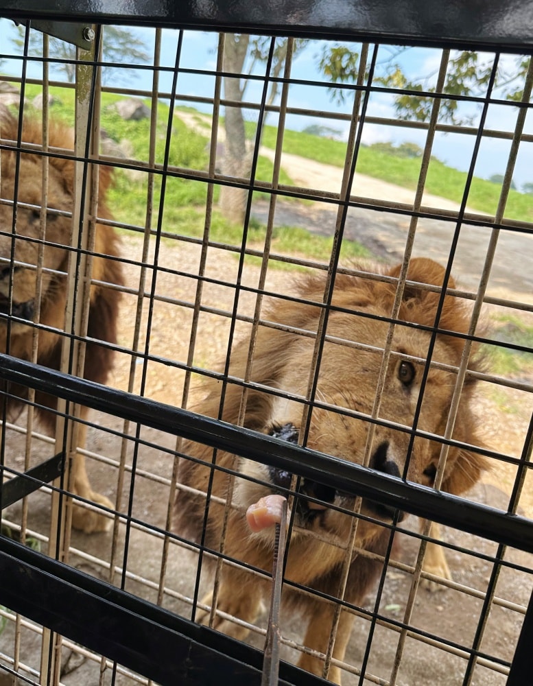 九州親子景點｜ 九州野生動物園
