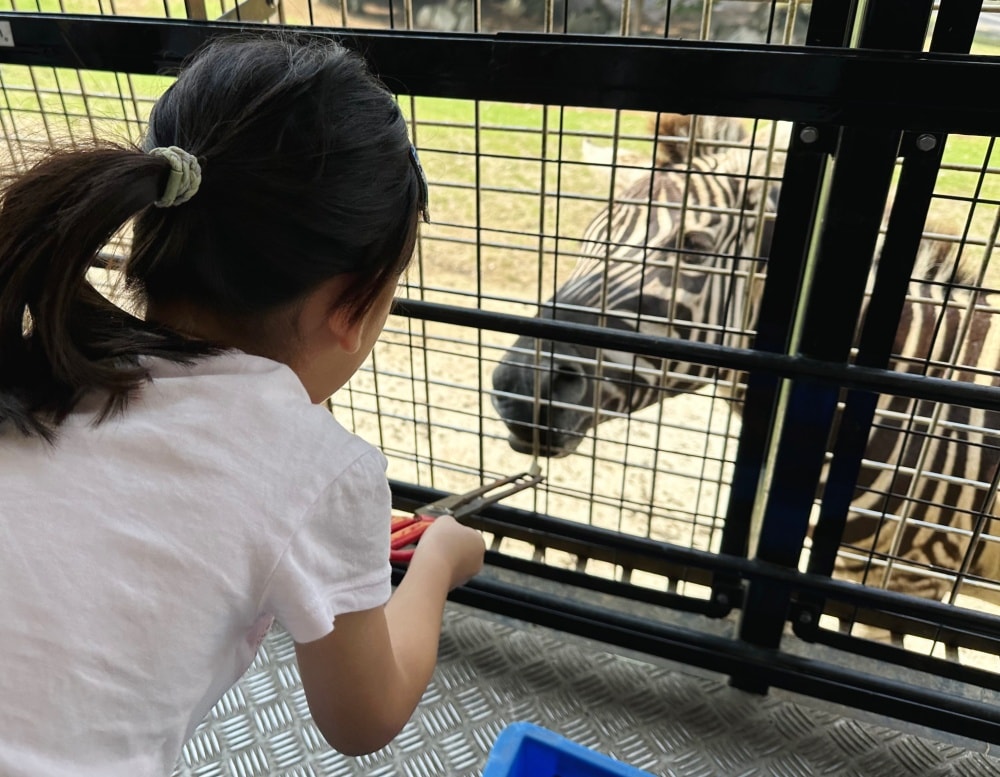 九州親子景點｜ 九州野生動物園