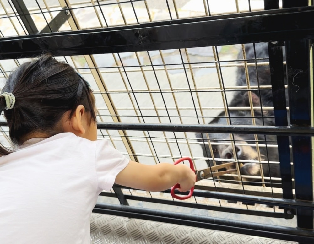 九州親子景點｜ 九州野生動物園