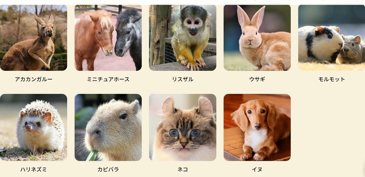 九州親子景點｜ 九州野生動物園