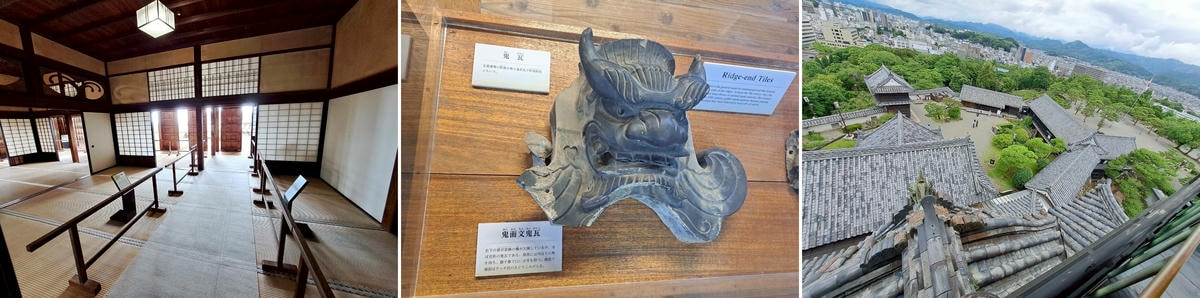 麗星郵輪探索星號｜岸上行程-高知一日遊